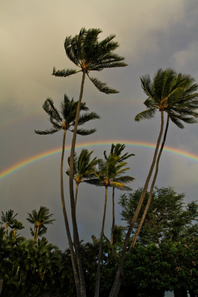 Rainbows in Hawaii are a common occurrence.